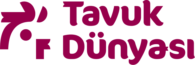 TAVUK DÜNYASI